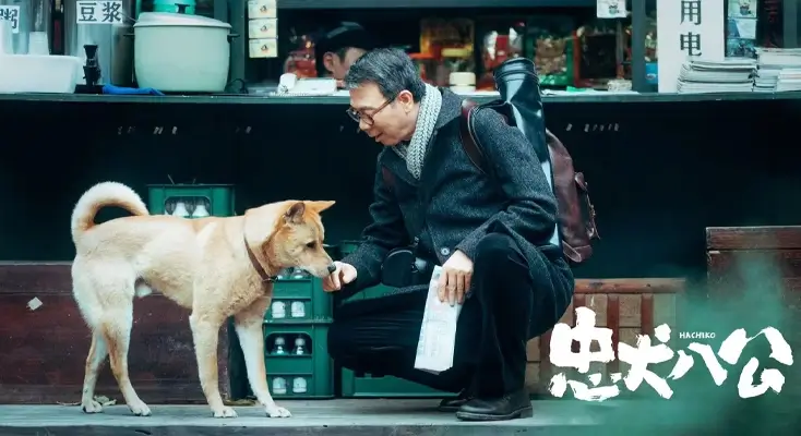 在国外用华人头条很卡怎么办指南